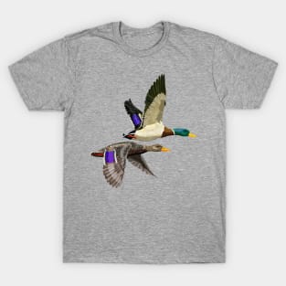 Mallard ducks in flight T-Shirt